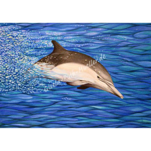 Energie-Delphin - Postkarte