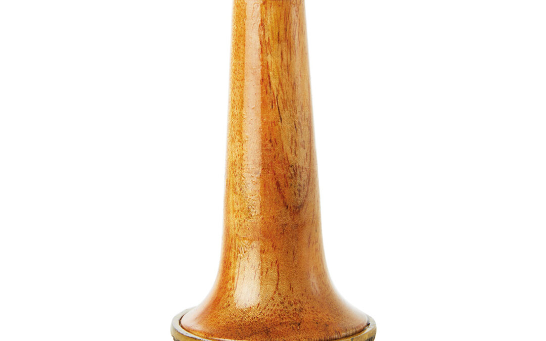 Kaash Massageschale Fit Vital mit Griff